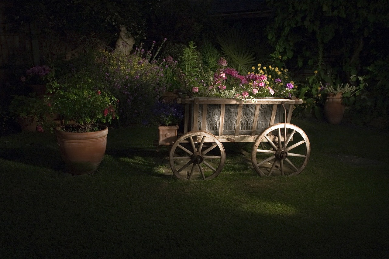 Visibility and Safety: Risks of Nighttime Activities